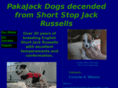 shortstopjackrussells.com
