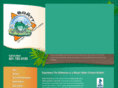 brattwaterfeatures.com