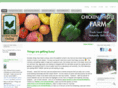 chickenthistle.com