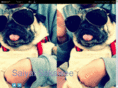 saiyaisakawee.com