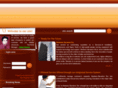 shaheenelevator.com