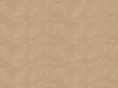 bellevista.net