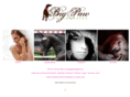 bigpawgraphics.com