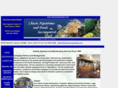 classicaquariums.com