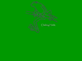 coquiholds.com