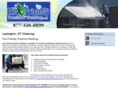 ecofriendlypressurewashing.net