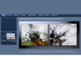 luckydragonart.com