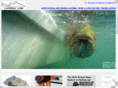 technicaloutdoorapparel.com