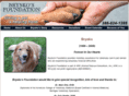 bryskosfoundation.com