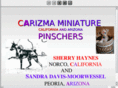 carizmaminpins.com