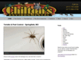 chiltonsinc.com