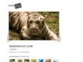 radenkovic.com