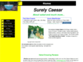 surelycaesar.com