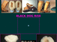 blackdogrise.com