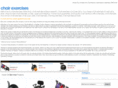 chairexercises.net