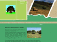 maryforddowns.com