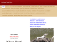 safariclubusa.net