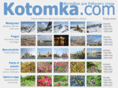 kotomka.com