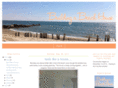 buildingabeachhouse.com
