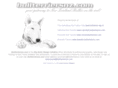 bullterriersnz.com