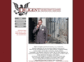 diligentinvestigative.com