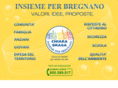 insiemeperbregnano.org