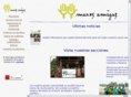 manosamigas.org