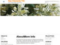 sanclementepaver.com
