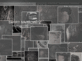 bzmarkowitz.com
