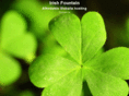 irishfountain.com
