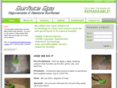 surfacespa.com