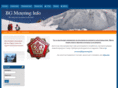 bgmetering.info