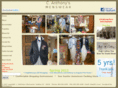 canthonysmenswear.com