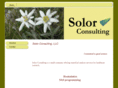 solorconsulting.com