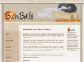 urbanaerobics.com