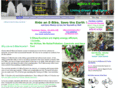 alohaebike.com