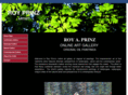 royprinzarts.com