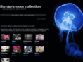 thedarkroomcollection.com