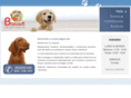 basadiclinivet.com