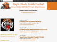 msyouthfootball.org