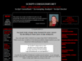 script-consultant.net