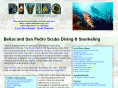 belizedive.com
