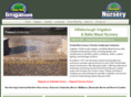 bellemeadnursery.com