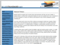bluestandard.net