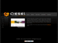 dieselinteractive.com