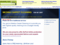 medinacarpetcleaning.com