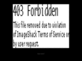 opengala.com