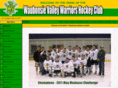 waubonsiehockey.com