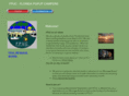 floridapopupcampers.com