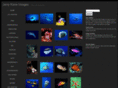 jerrykaneimages.com